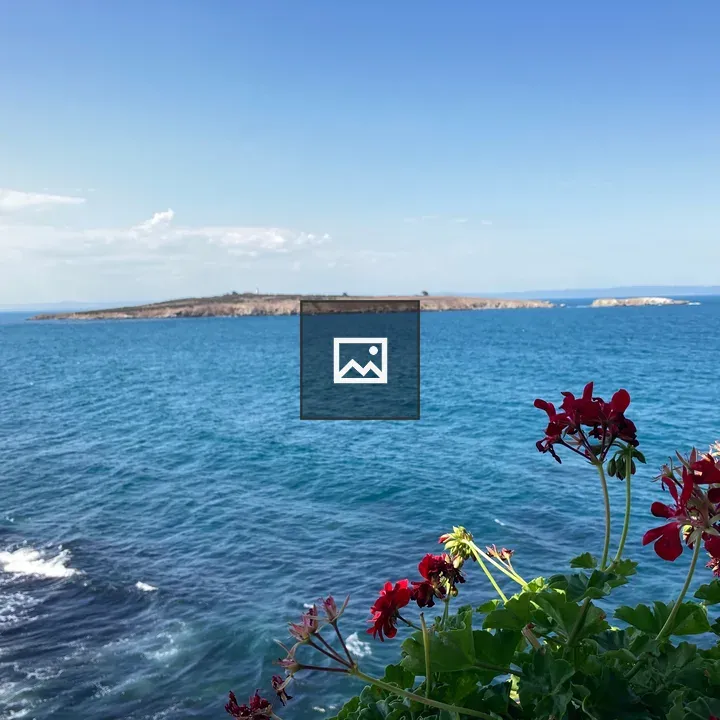 Sea view with red flowers