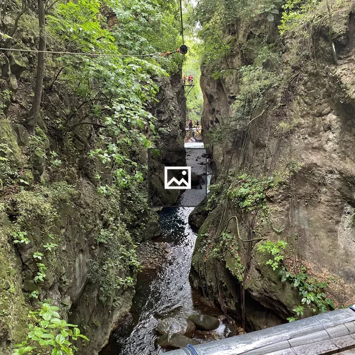Narrow canyon with river and greenery