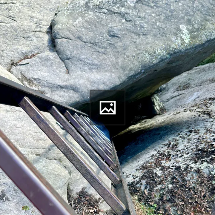 Rock Climbing Access Ladder