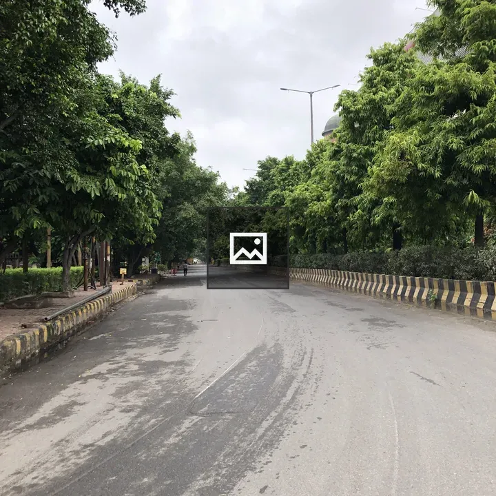 Sector 16 Noida landscape