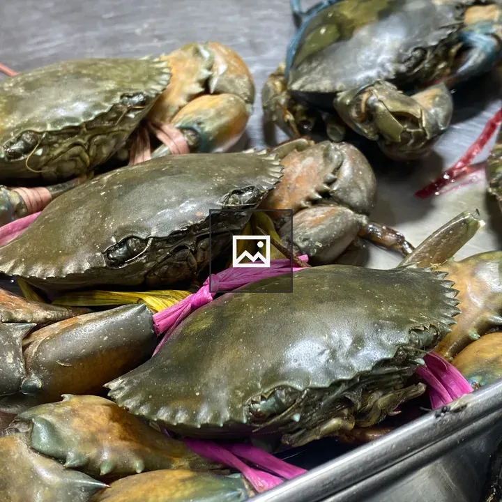 Green crabs on metal tray
