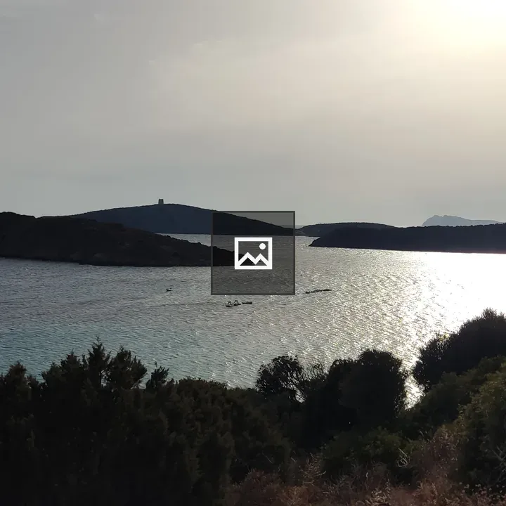 Sea sunset