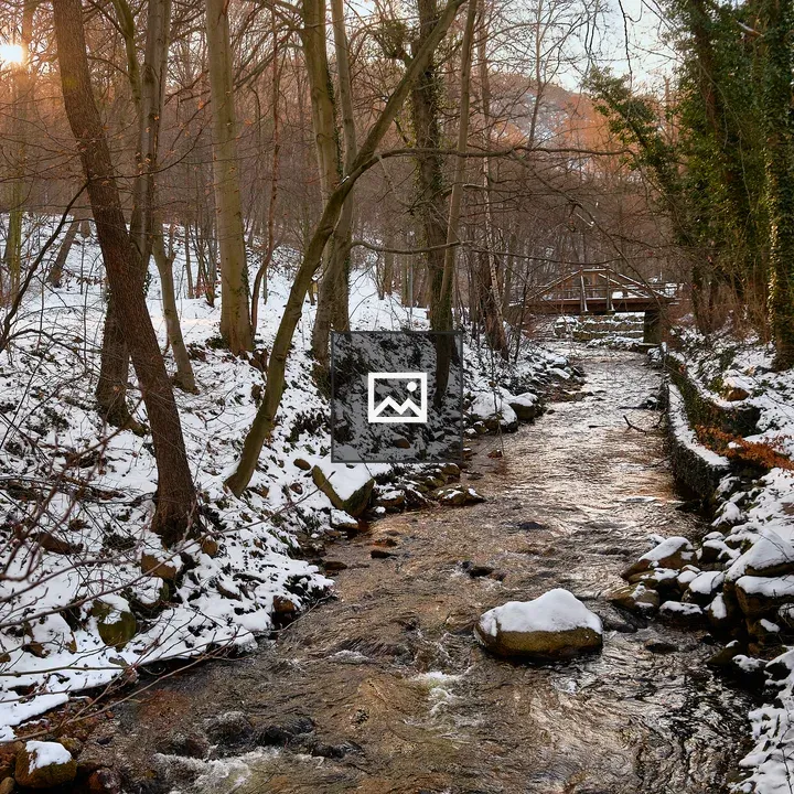 Winter landscape along Ilse river