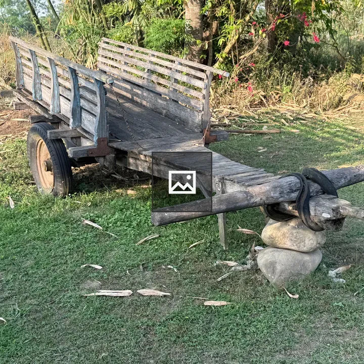 Rustic wooden cart on grass