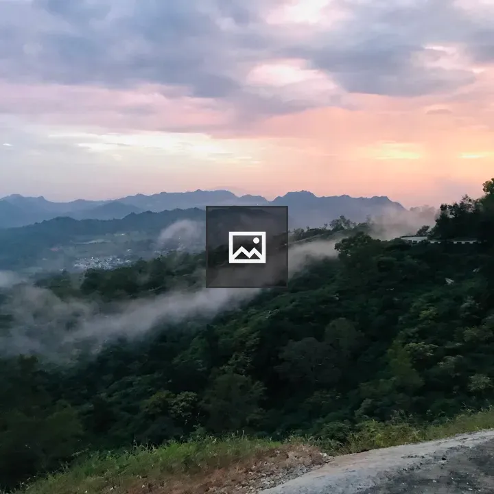 Sky and Green Nature