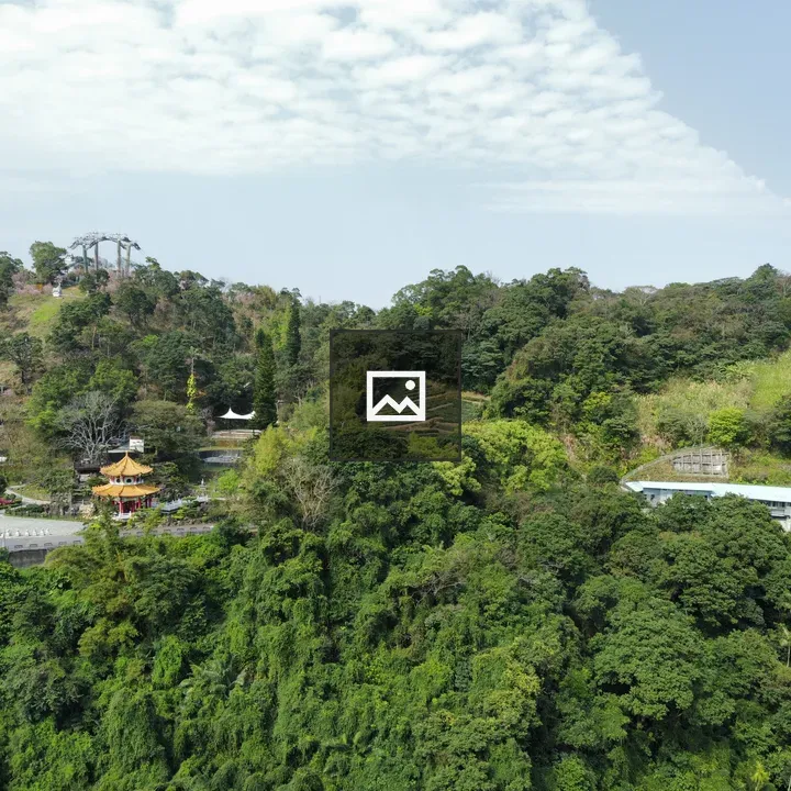 Aerial hillside with pagoda and terraces