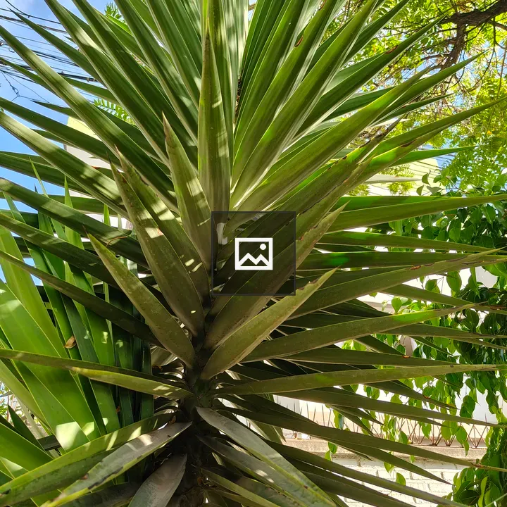 Green plant leaves close-up