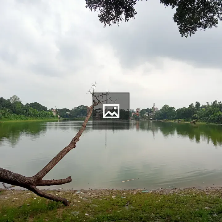 Calm lake with surrounding trees