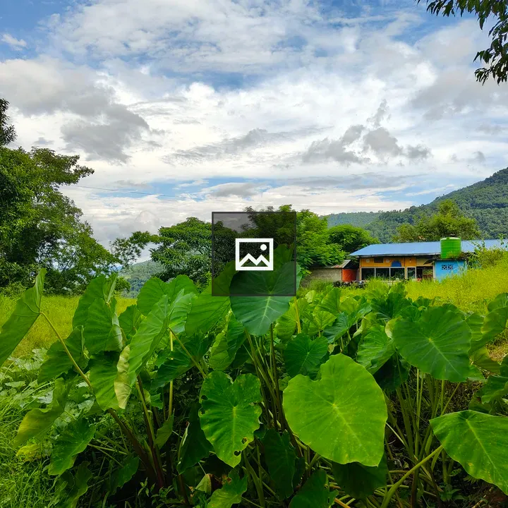 Lush Green Landscape with Building