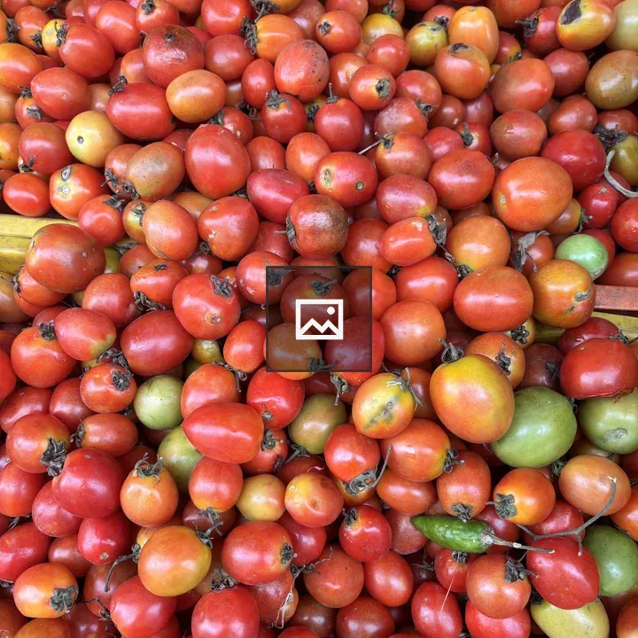 Colorful tomatoes assortment