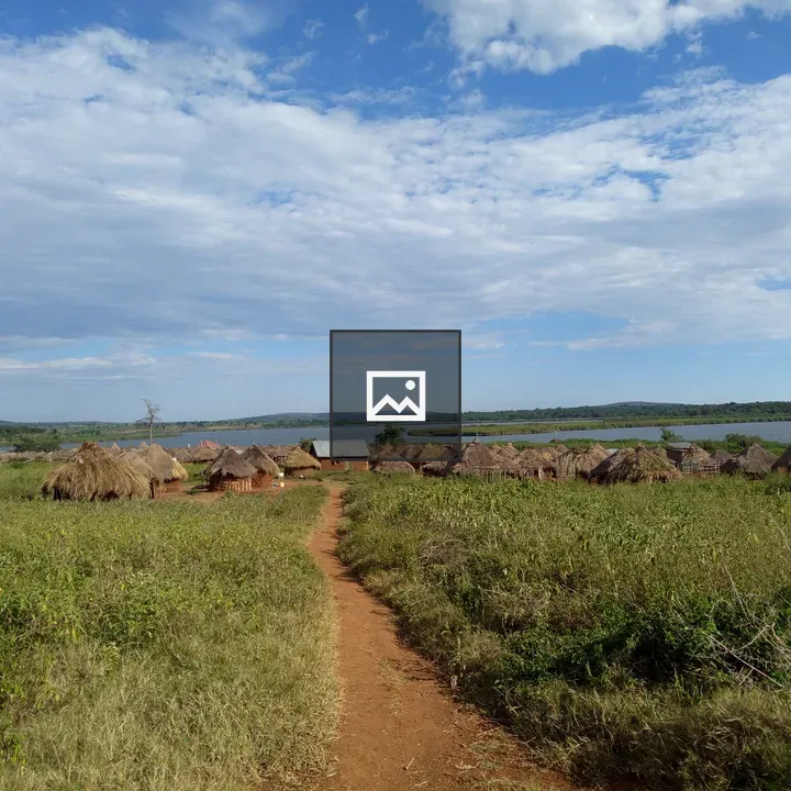 Thatched huts near Lake Victoria