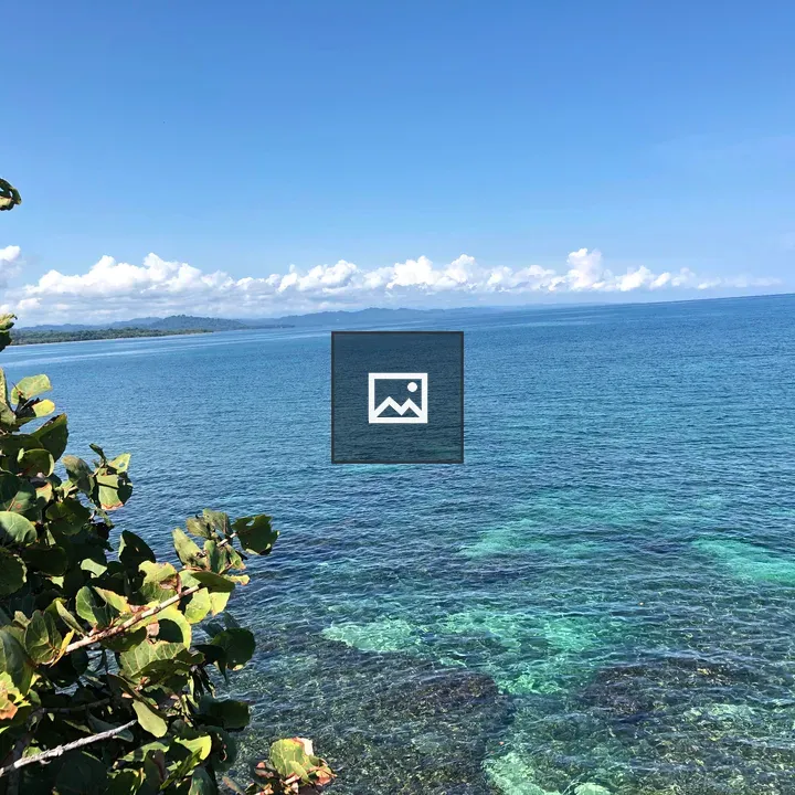 Costa Rica sea grape coastal scene