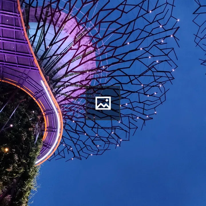 Look Up at Twilight Canopy
