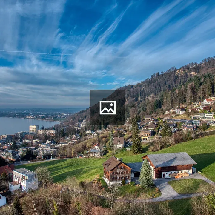 Bregenz skyline and nature