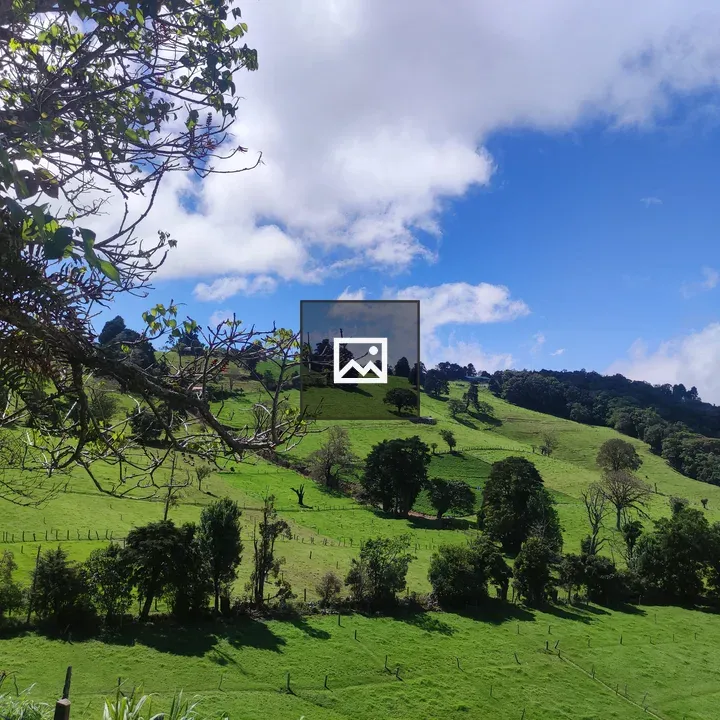 Zarcero Costa Rica Landscape