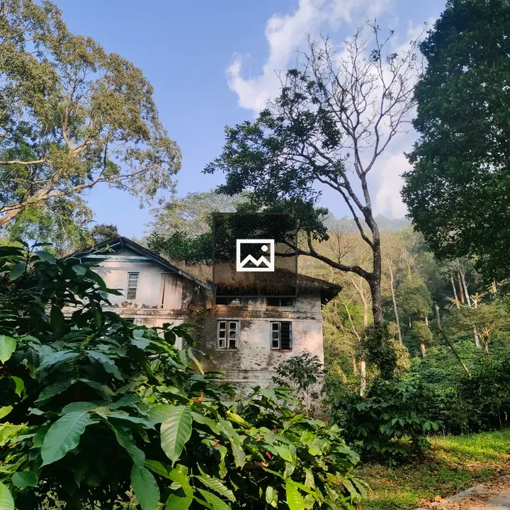 Abandoned bungalow in forest