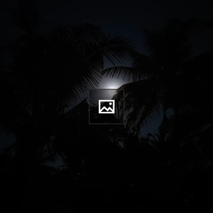 Moon Through Coconut Leaves