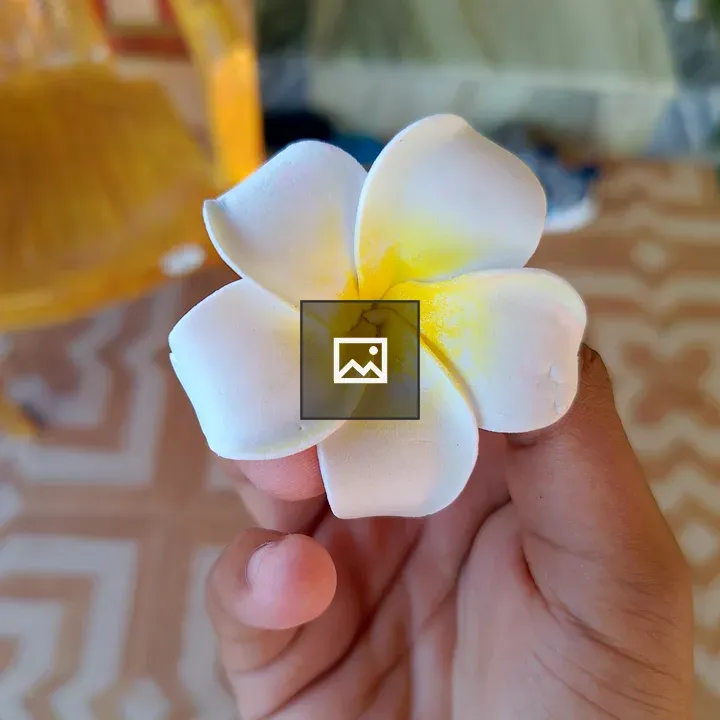 Close-up of a person holding a flower