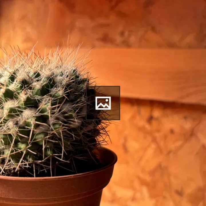 Cactus in a Flowerpot
