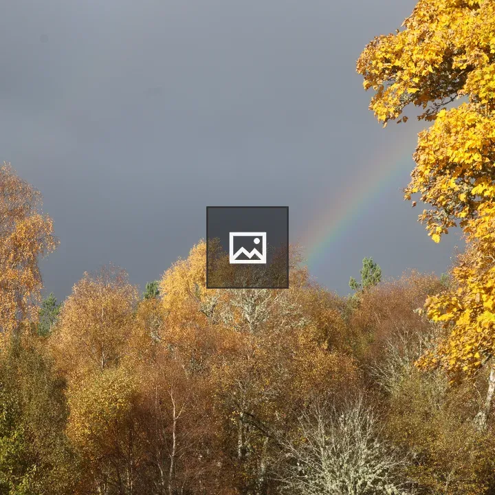 Autumn Tree Tops and Rainbow