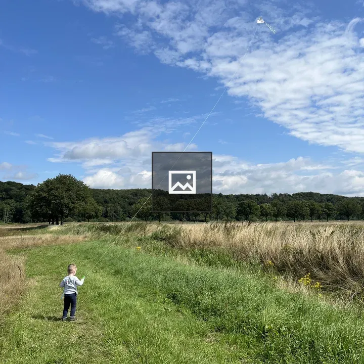 Child with kite in grass
