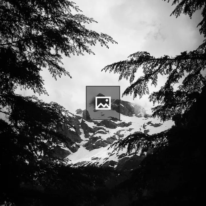 Mountains through the trees