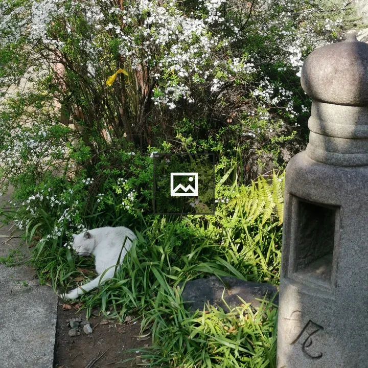 Guardian Japanese cat at Atago Shrine