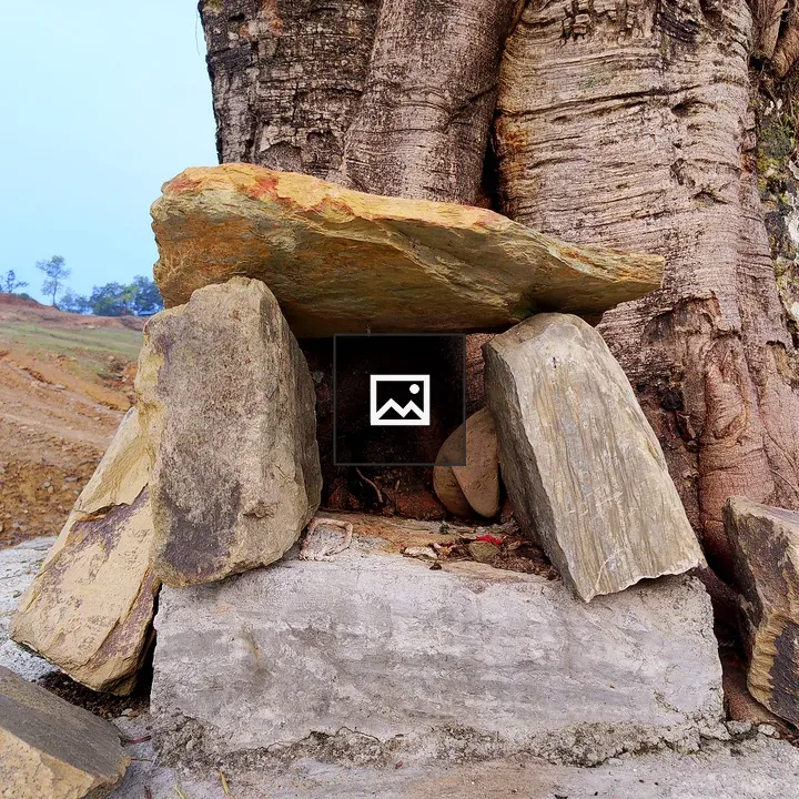 Large weathered stones shelter at tree base
