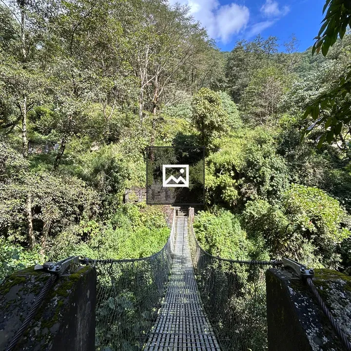 Suspension bridge over valley