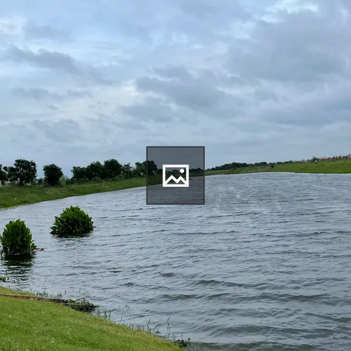 Beautiful Lakeside