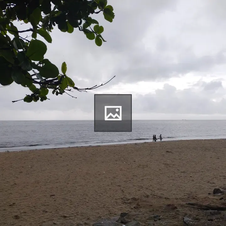 Calicut Beach with Dog and People