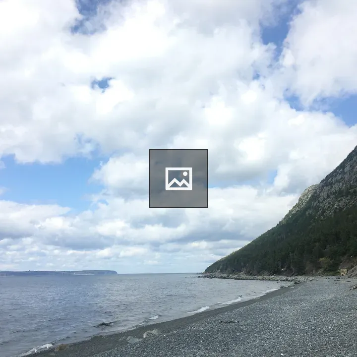 Newfoundland coast landscape