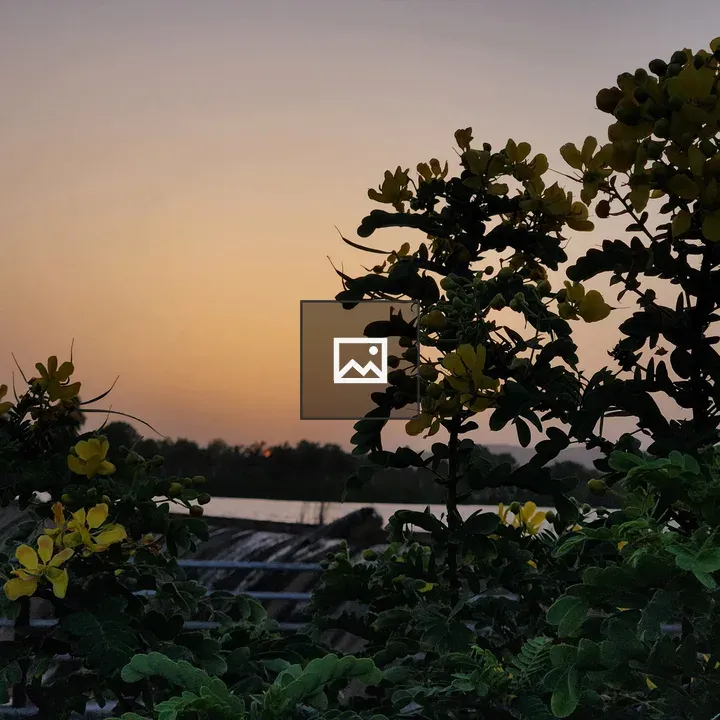 Silhouetted Plants Against Sunset