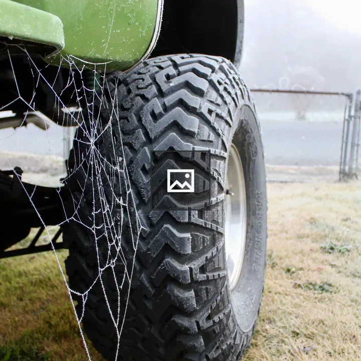 Frozen spiderweb by lime green truck