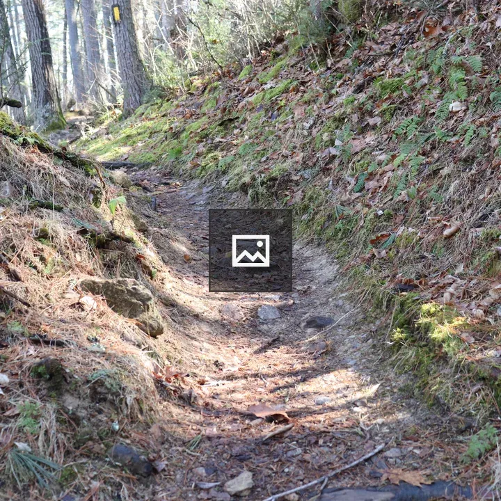Hidden Trail at Caledonia State Park