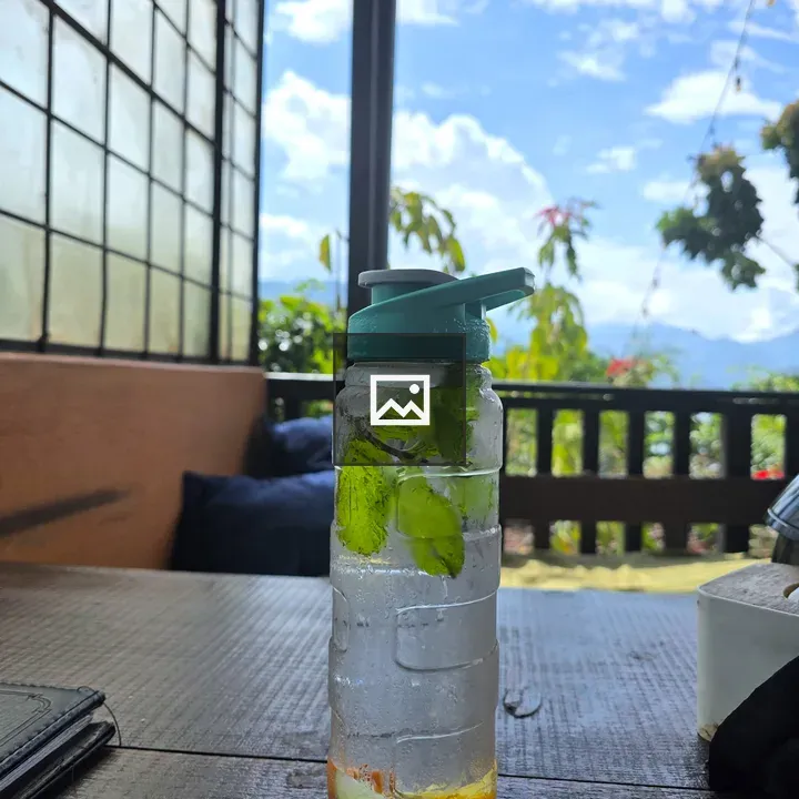 Water bottle with lemon and mint