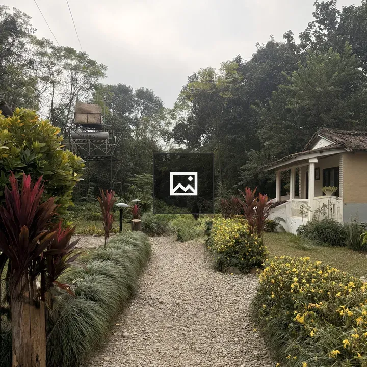 Gravel Path Through Garden