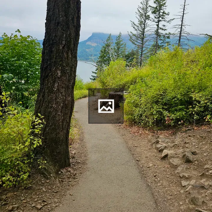 Trail through forested gorge