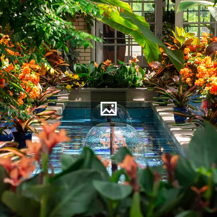 Indoor garden with flowers