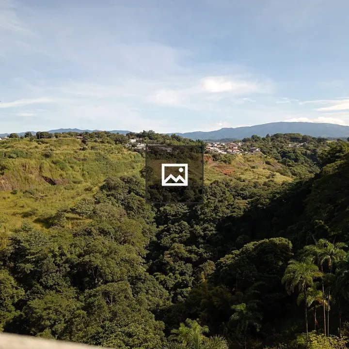 Panoramic Hills and Forest Landscape