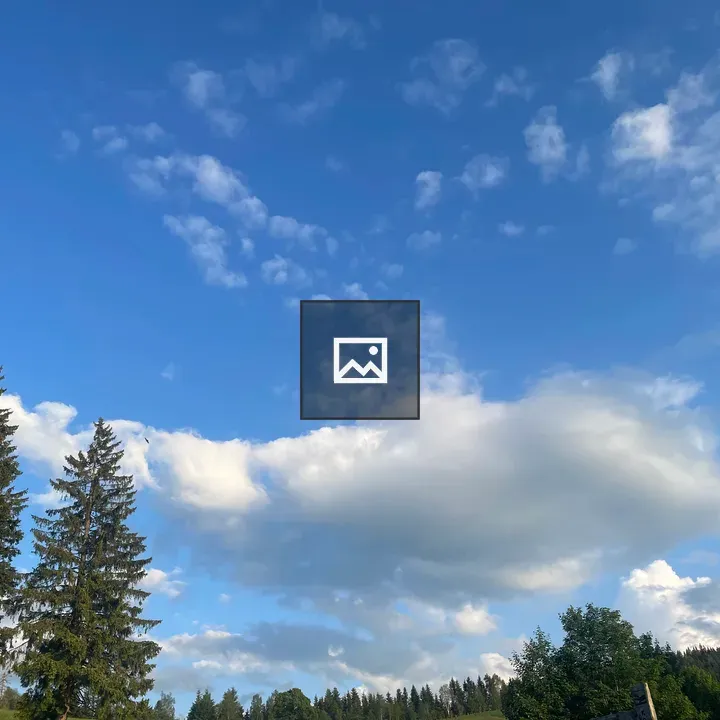 Blue sky with branches and clouds