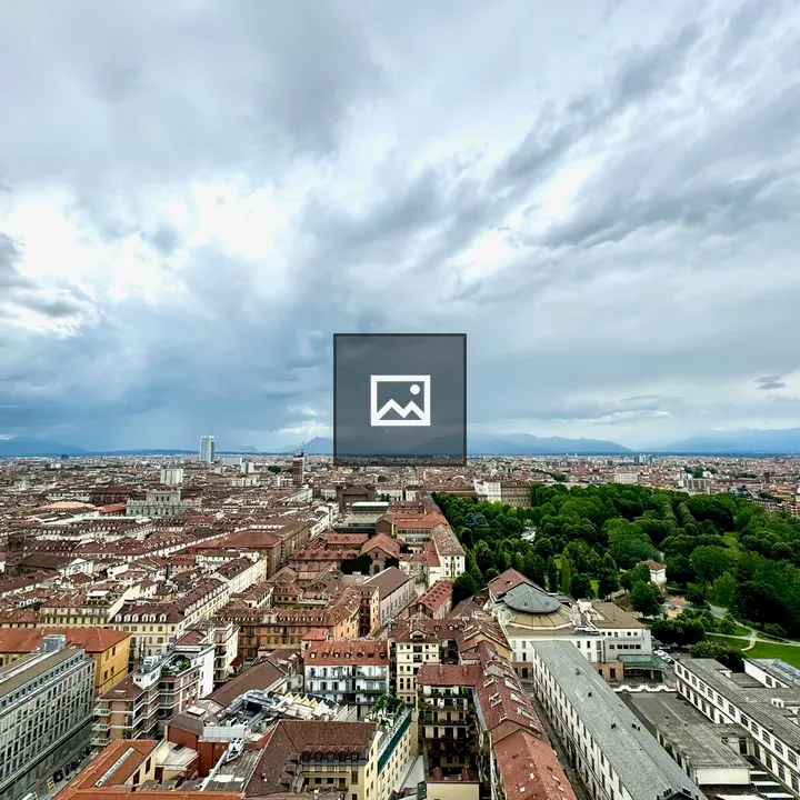 Torino cityscape from Cinema Museum