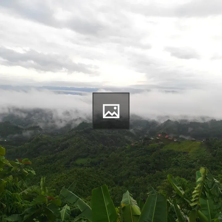 Valley View Through Dense Foliage