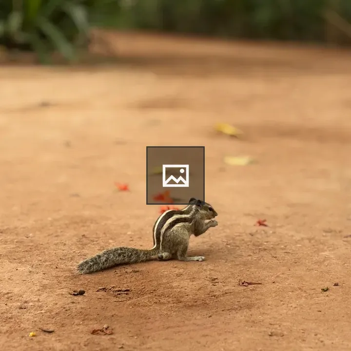 Chipmunk on Forest Path