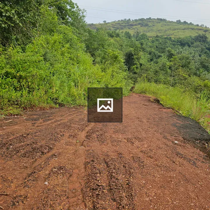 Rural red-mud road through greenery