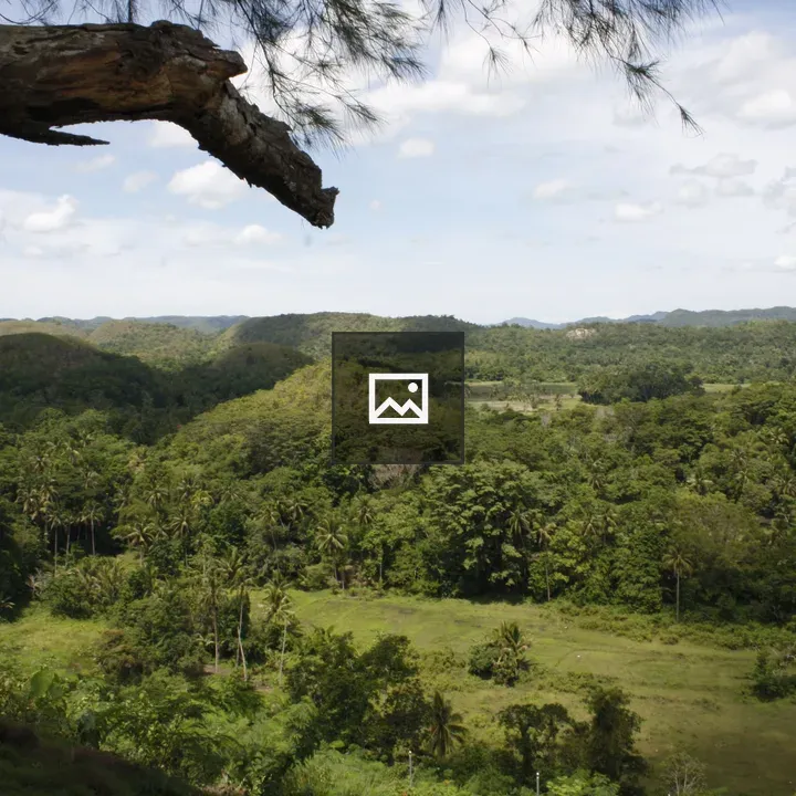 Chocolate Hills of Bohol