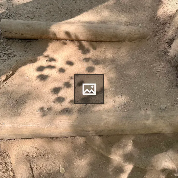 Dirt trail with wooden steps