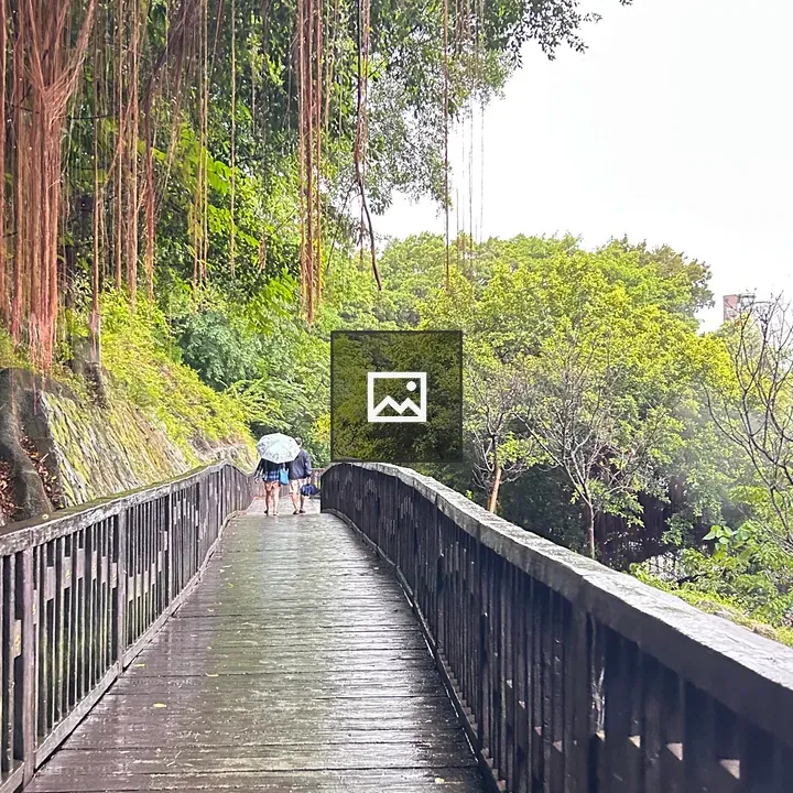 Wooden walkway through greenery