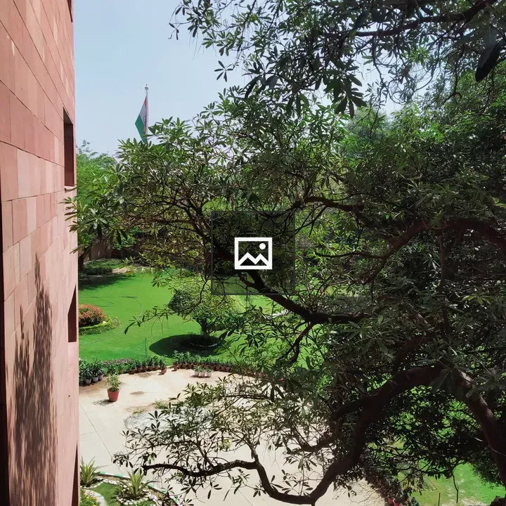 Tree in landscape and shade