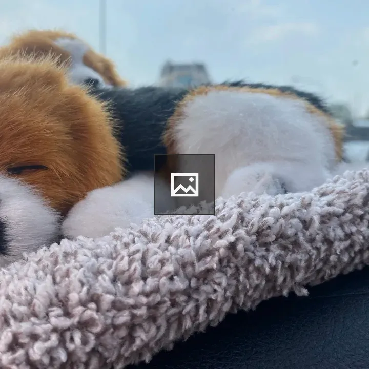 Toy dog resting on blanket